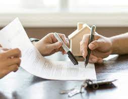 Best Renters Insurance in Hawaii: What to Look For in a Policy